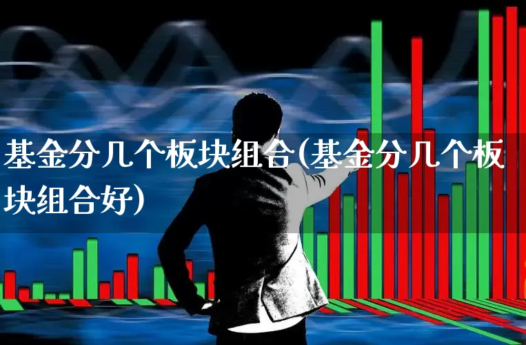基金分几个板块组合(基金分几个板块组合好)_https://www.heiljjianzu.com_北交所_第1张