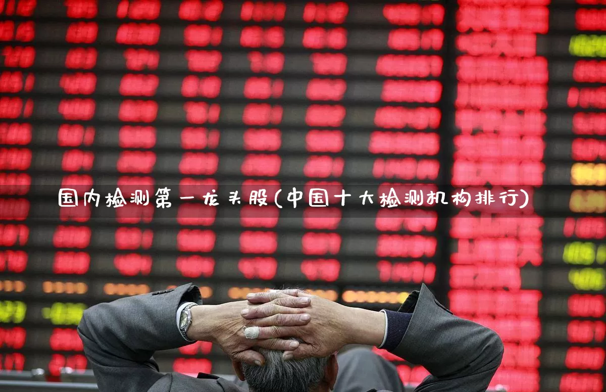国内检测第一龙头股(中国十大检测机构排行)_https://www.heiljjianzu.com_创业板_第1张