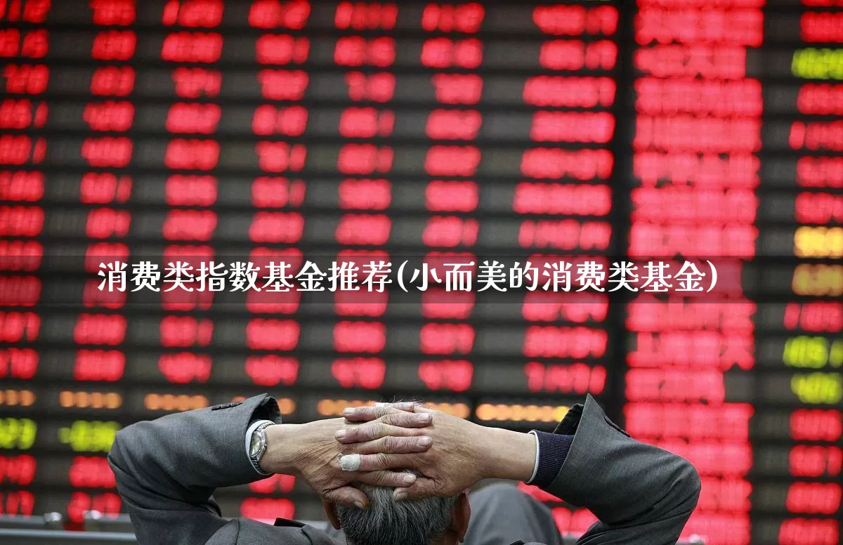 消费类指数基金推荐(小而美的消费类基金)_https://www.heiljjianzu.com_深交所_第1张