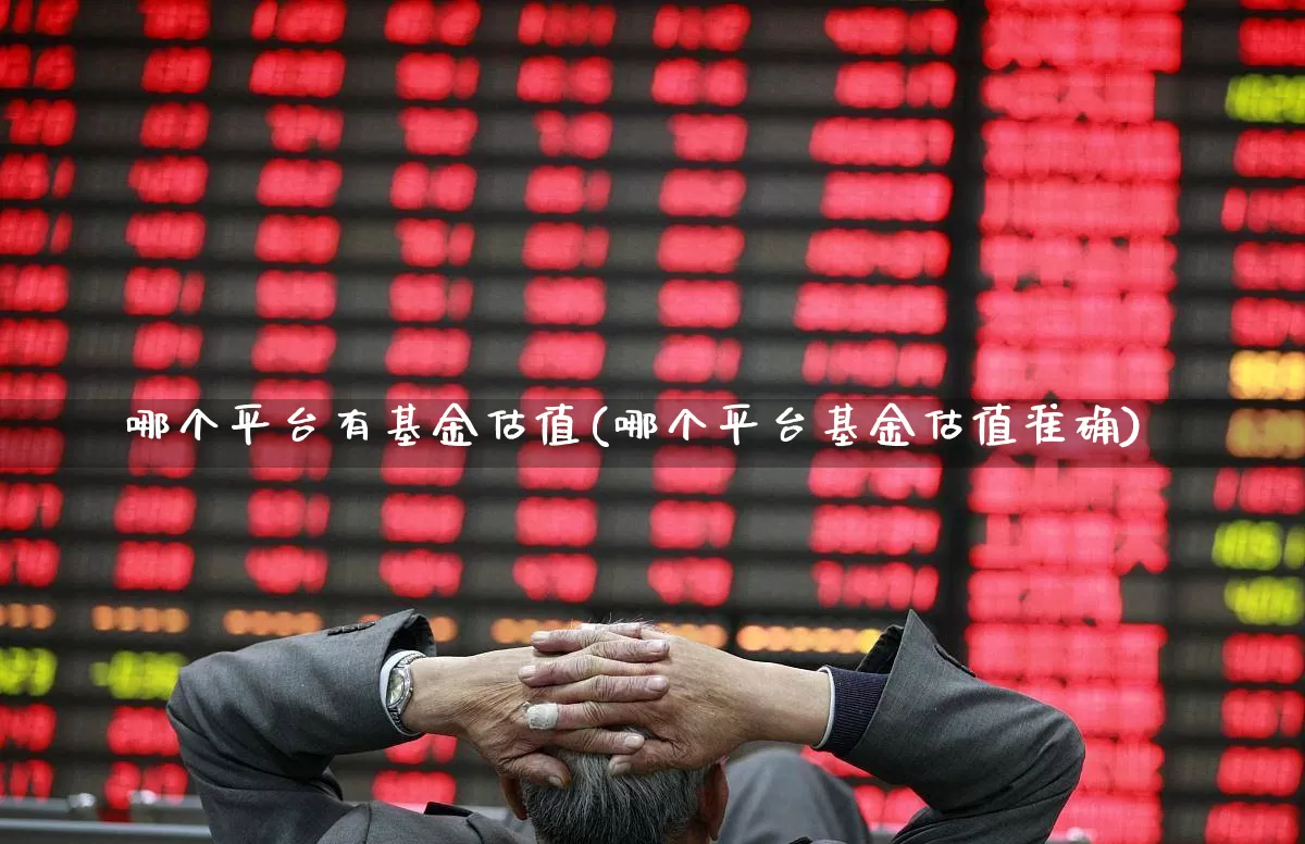 哪个平台有基金估值(哪个平台基金估值准确)_https://www.heiljjianzu.com_科创板_第1张
