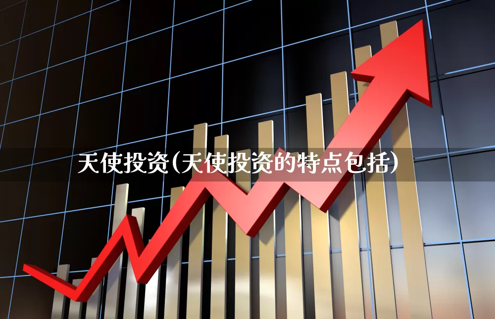 天使投资(天使投资的特点包括)_https://www.heiljjianzu.com_深交所_第1张