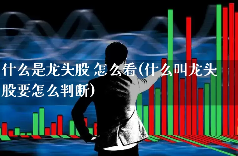 什么是龙头股 怎么看(什么叫龙头股要怎么判断)_https://www.heiljjianzu.com_创业板_第1张