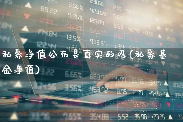 私募净值公布是真实的吗(私募基金净值)_https://www.heiljjianzu.com_创业板_第1张