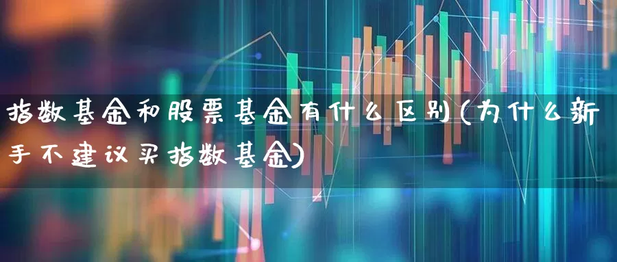 指数基金和股票基金有什么区别(为什么新手不建议买指数基金)_https://www.heiljjianzu.com_上交所_第1张