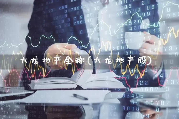 大龙地产全称(大龙地产股)_https://www.heiljjianzu.com_上交所_第1张