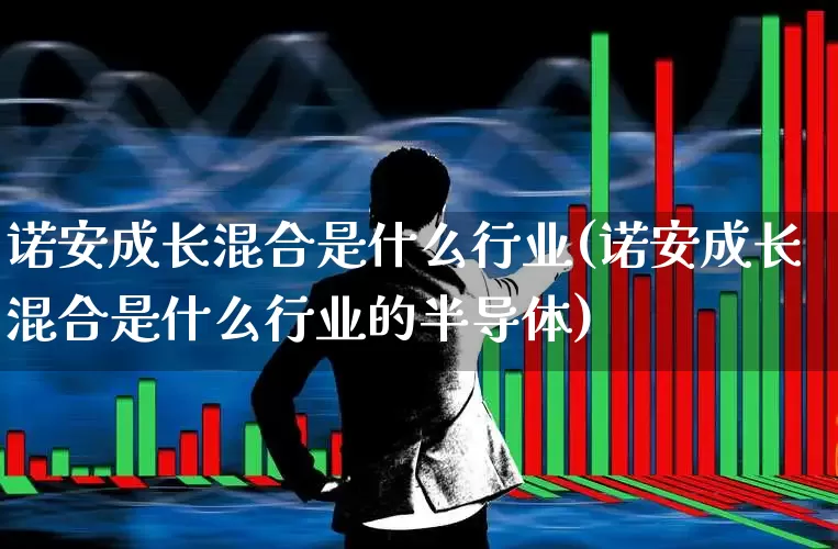 诺安成长混合是什么行业(诺安成长混合是什么行业的半导体)_https://www.heiljjianzu.com_上交所_第1张