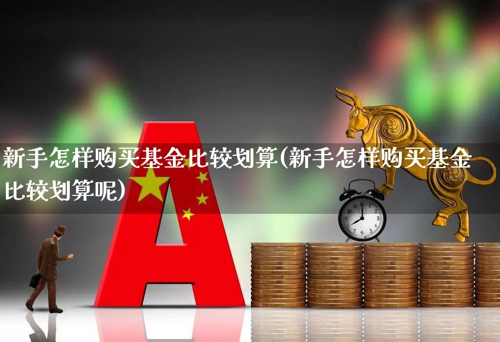 新手怎样购买基金比较划算(新手怎样购买基金比较划算呢)_https://www.heiljjianzu.com_深交所_第1张