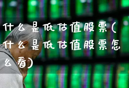 什么是低估值股票(什么是低估值股票怎么看)_https://www.heiljjianzu.com_上交所_第1张