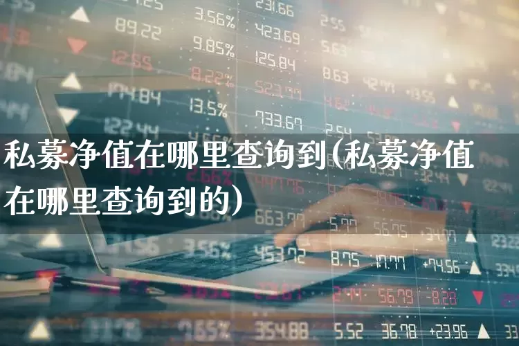 私募净值在哪里查询到(私募净值在哪里查询到的)_https://www.heiljjianzu.com_北交所_第1张