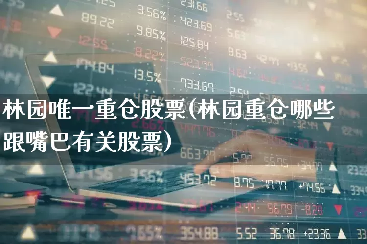 林园唯一重仓股票(林园重仓哪些跟嘴巴有关股票)_https://www.heiljjianzu.com_深交所_第1张