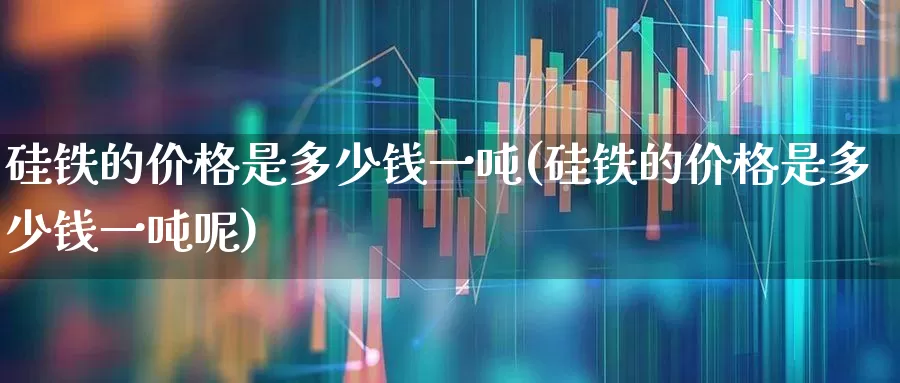 硅铁的价格是多少钱一吨(硅铁的价格是多少钱一吨呢)_https://www.heiljjianzu.com_北交所_第1张