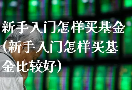 新手入门怎样买基金(新手入门怎样买基金比较好)_https://www.heiljjianzu.com_上交所_第1张