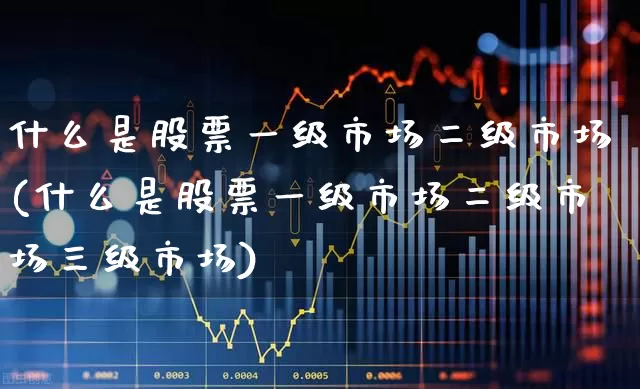 什么是股票一级市场二级市场(什么是股票一级市场二级市场三级市场)_https://www.heiljjianzu.com_深交所_第1张