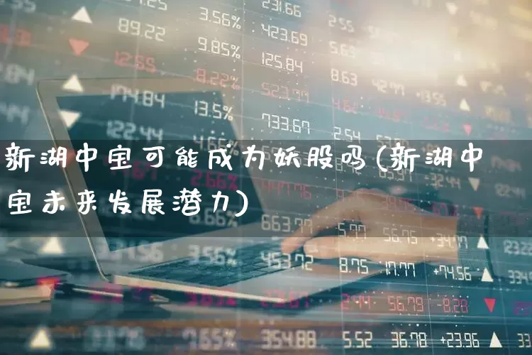 新湖中宝可能成为妖股吗(新湖中宝未来发展潜力)_https://www.heiljjianzu.com_深交所_第1张