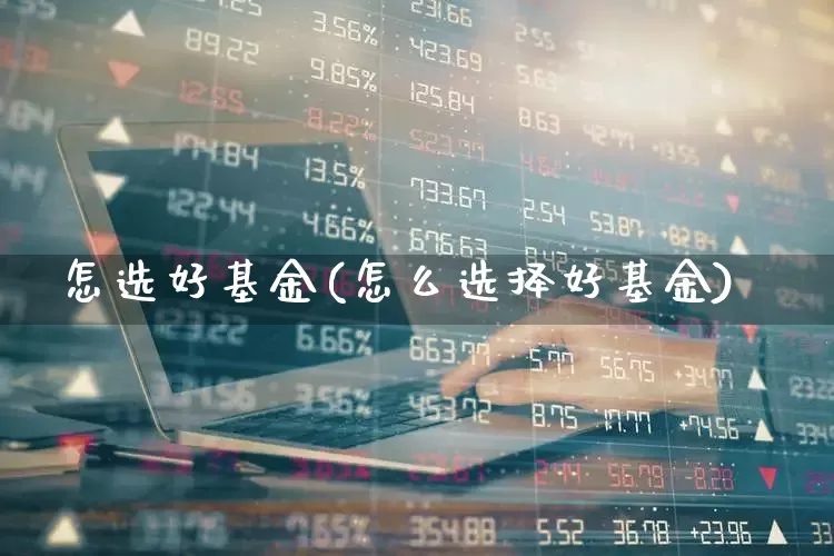 怎选好基金(怎么选择好基金)_https://www.heiljjianzu.com_创业板_第1张