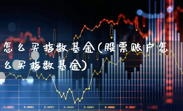 怎么买指数基金(股票账户怎么买指数基金)_https://www.heiljjianzu.com_北交所_第1张