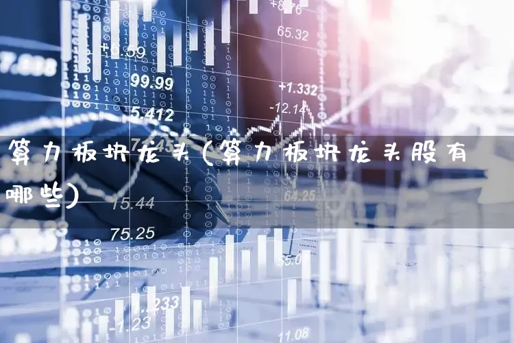 算力板块龙头(算力板块龙头股有哪些)_https://www.heiljjianzu.com_上交所_第1张