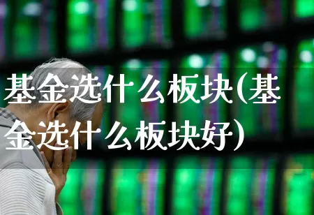 基金选什么板块(基金选什么板块好)_https://www.heiljjianzu.com_上交所_第1张