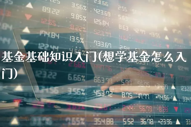 基金基础知识入门(想学基金怎么入门)_https://www.heiljjianzu.com_北交所_第1张