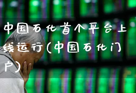 中国石化首个平台上线运行(中国石化门户)_https://www.heiljjianzu.com_深交所_第1张