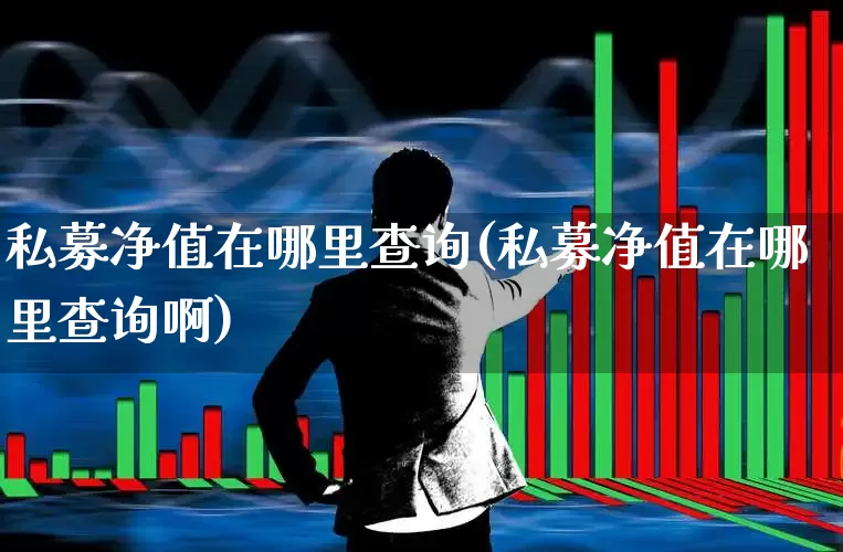 私募净值在哪里查询(私募净值在哪里查询啊)_https://www.heiljjianzu.com_深交所_第1张