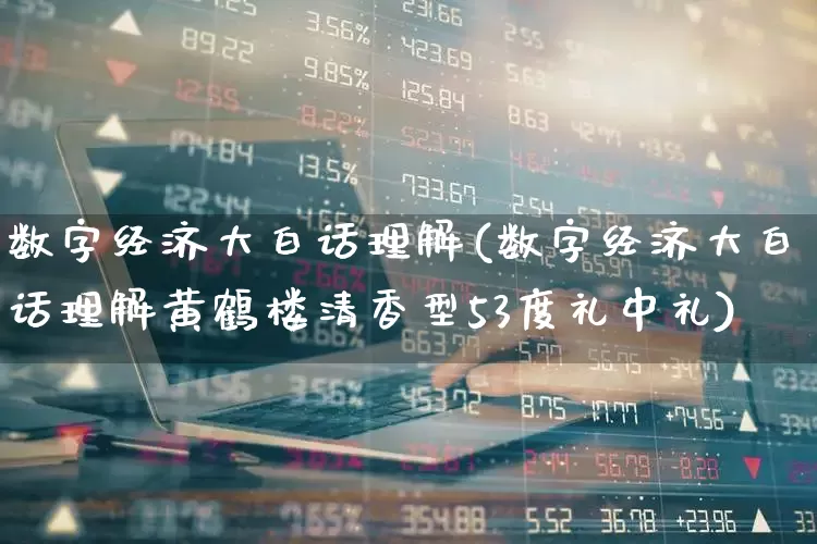 数字经济大白话理解(数字经济大白话理解黄鹤楼清香型53度礼中礼)_https://www.heiljjianzu.com_上交所_第1张