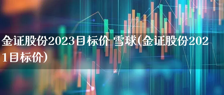 金证股份2023目标价 雪球(金证股份2021目标价)_https://www.heiljjianzu.com_北交所_第1张