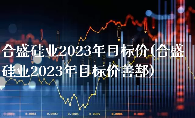 合盛硅业2023年目标价(合盛硅业2023年目标价善鄯)_https://www.heiljjianzu.com_深交所_第1张