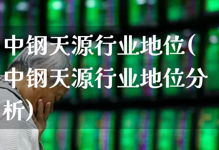 中钢天源行业地位(中钢天源行业地位分析)_https://www.heiljjianzu.com_创业板_第1张