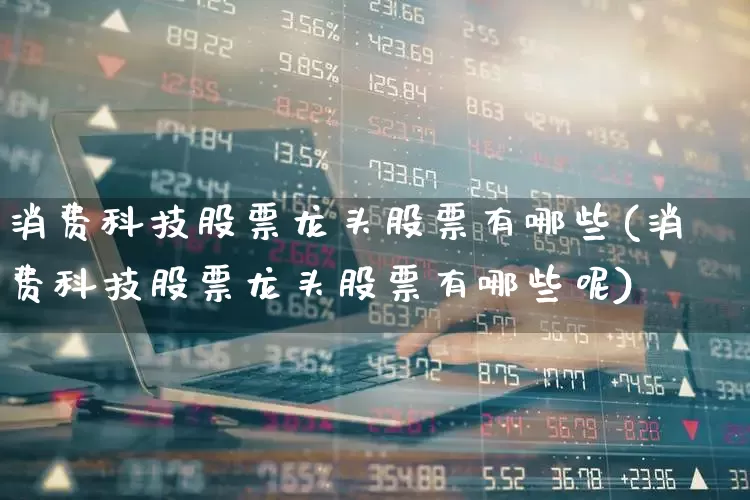 消费科技股票龙头股票有哪些(消费科技股票龙头股票有哪些呢)_https://www.heiljjianzu.com_上交所_第1张