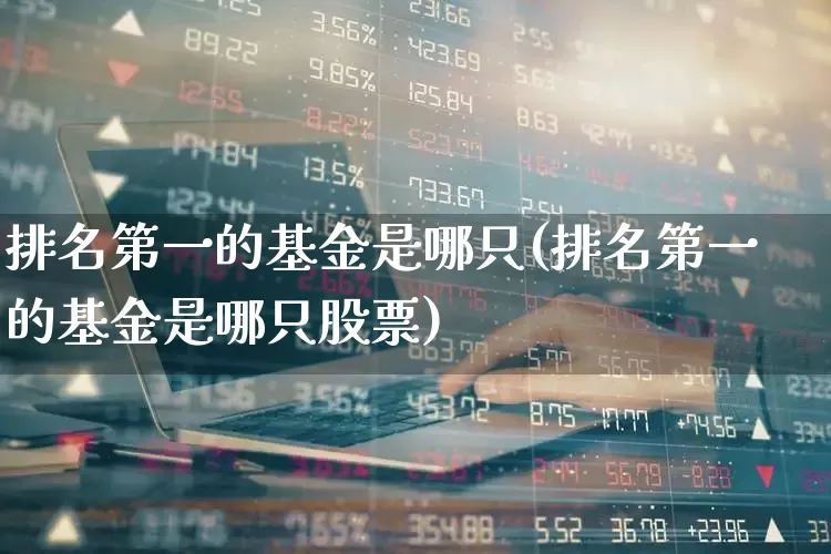 排名第一的基金是哪只(排名第一的基金是哪只股票)_https://www.heiljjianzu.com_科创板_第1张