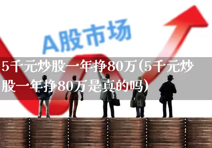 5千元炒股一年挣80万(5千元炒股一年挣80万是真的吗)_https://www.heiljjianzu.com_科创板_第1张