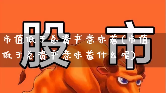市值低于总资产意味着(市值低于总资产意味着什么呢)_https://www.heiljjianzu.com_创业板_第1张