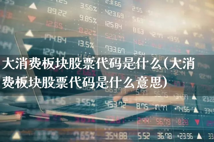 大消费板块股票代码是什么(大消费板块股票代码是什么意思)_https://www.heiljjianzu.com_上交所_第1张