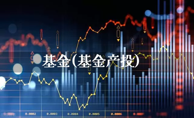 基金(基金产投)_https://www.heiljjianzu.com_深交所_第1张