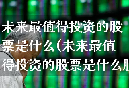 未来最值得投资的股票是什么(未来最值得投资的股票是什么股)_https://www.heiljjianzu.com_创业板_第1张