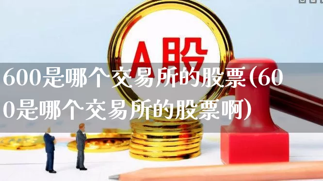 600是哪个交易所的股票(600是哪个交易所的股票啊)_https://www.heiljjianzu.com_深交所_第1张