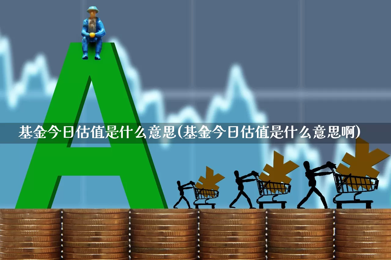 基金今日估值是什么意思(基金今日估值是什么意思啊)_https://www.heiljjianzu.com_上交所_第1张