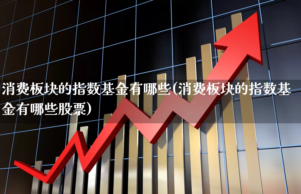 消费板块的指数基金有哪些(消费板块的指数基金有哪些股票)_https://www.heiljjianzu.com_上交所_第1张