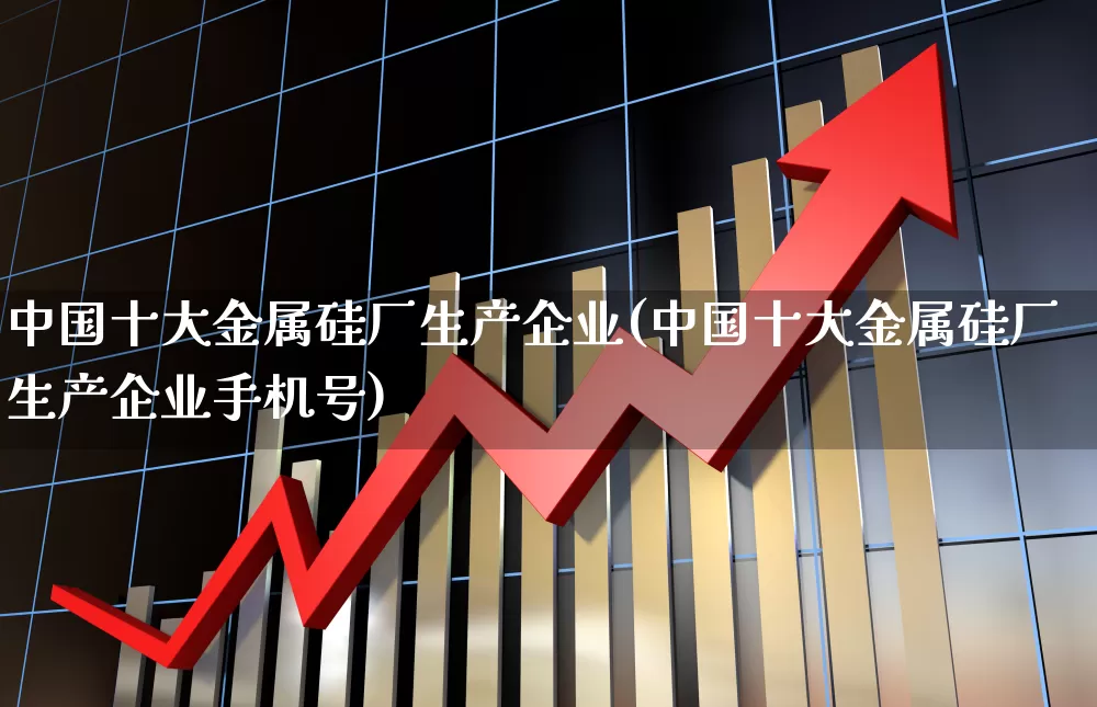 中国十大金属硅厂生产企业(中国十大金属硅厂生产企业手机号)_https://www.heiljjianzu.com_创业板_第1张
