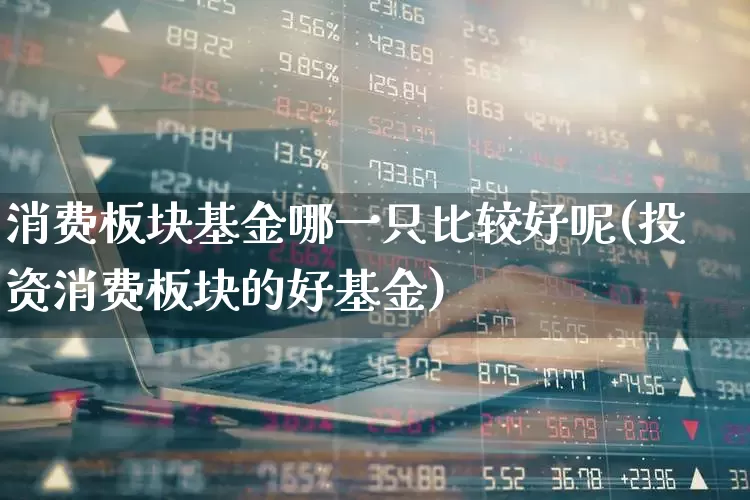消费板块基金哪一只比较好呢(投资消费板块的好基金)_https://www.heiljjianzu.com_科创板_第1张