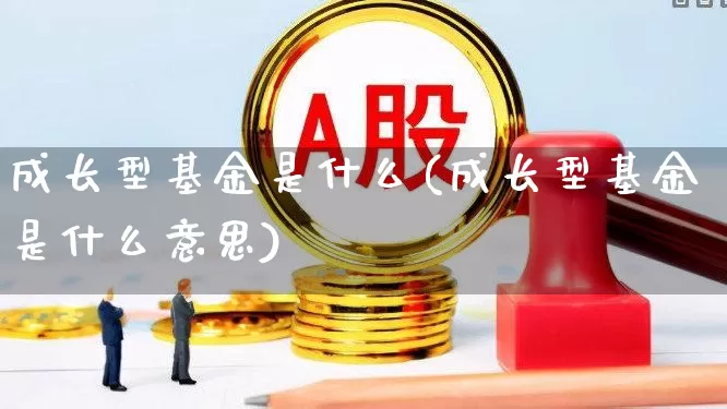 成长型基金是什么(成长型基金是什么意思)_https://www.heiljjianzu.com_深交所_第1张