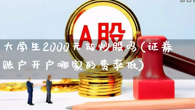 大学生2000元能炒股吗(证券账户开户哪家的费率低)_https://www.heiljjianzu.com_创业板_第1张