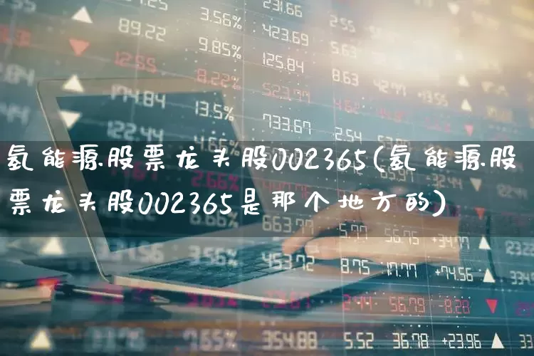 氢能源股票龙头股002365(氢能源股票龙头股002365是那个地方的)_https://www.heiljjianzu.com_科创板_第1张