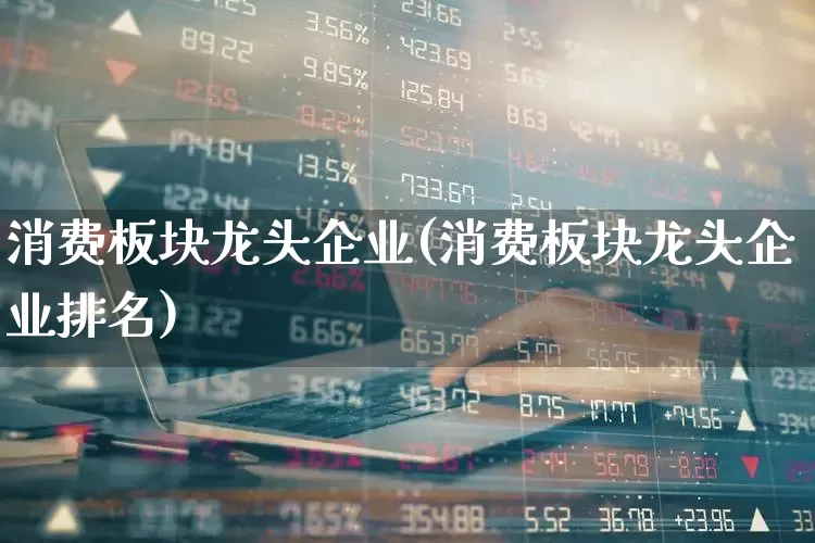 消费板块龙头企业(消费板块龙头企业排名)_https://www.heiljjianzu.com_上交所_第1张