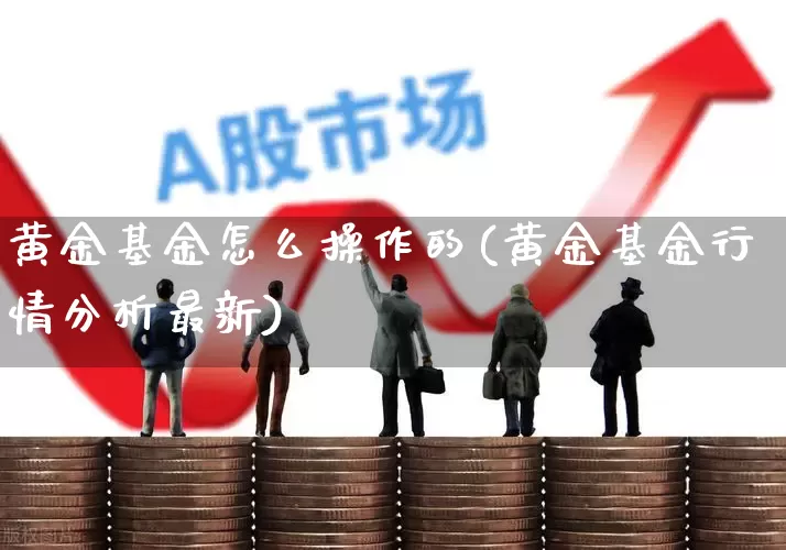 黄金基金怎么操作的(黄金基金行情分析最新)_https://www.heiljjianzu.com_北交所_第1张