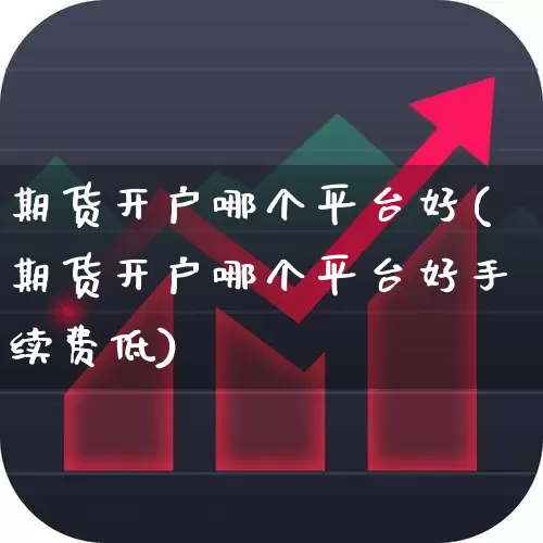 期货开户哪个平台好(期货开户哪个平台好手续费低)_https://www.heiljjianzu.com_上交所_第1张