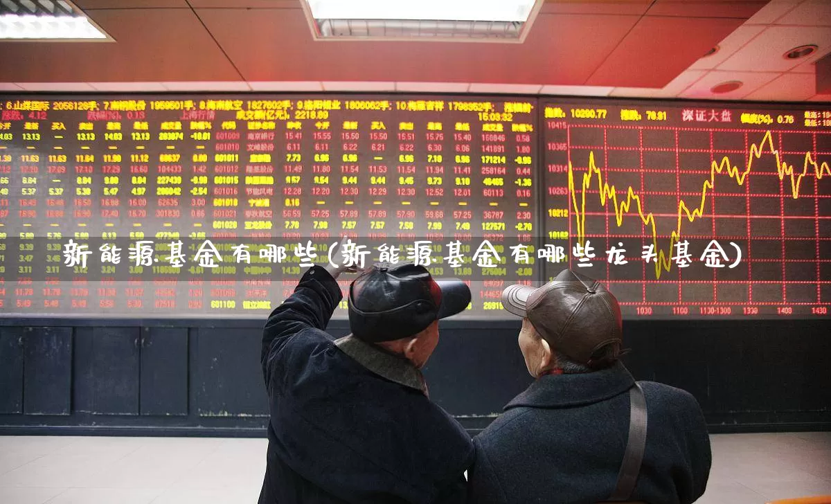 新能源基金有哪些(新能源基金有哪些龙头基金)_https://www.heiljjianzu.com_深交所_第1张