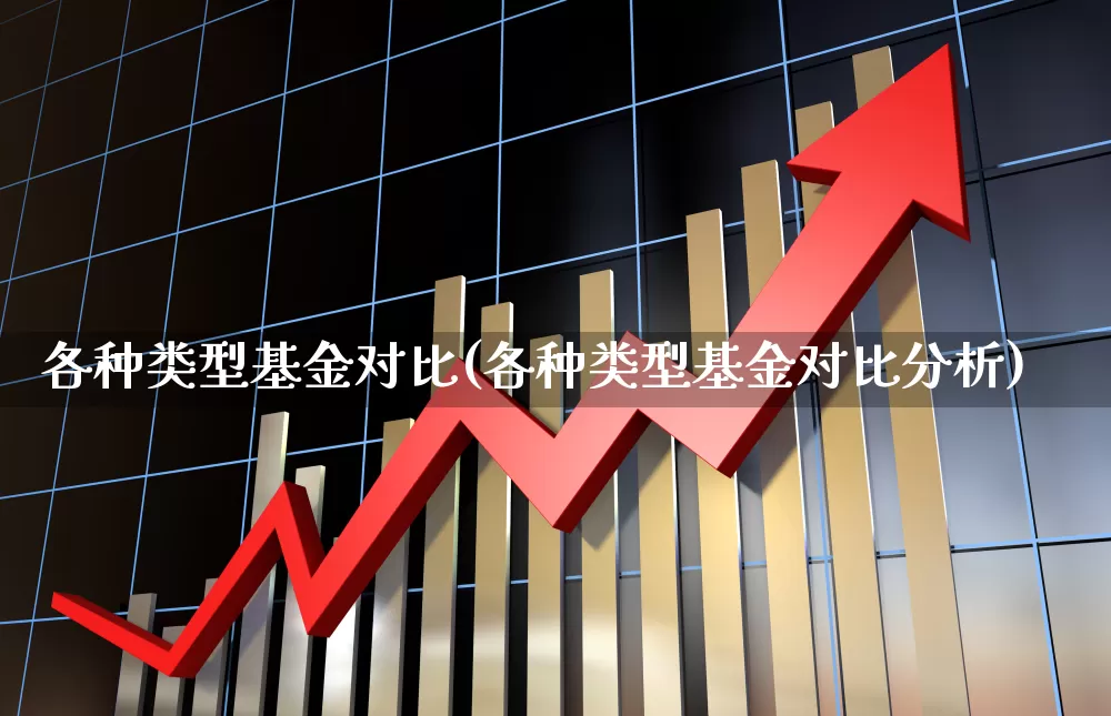 各种类型基金对比(各种类型基金对比分析)_https://www.heiljjianzu.com_上交所_第1张