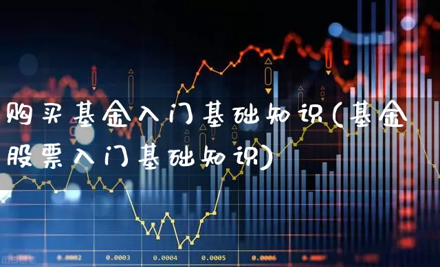 购买基金入门基础知识(基金股票入门基础知识)_https://www.heiljjianzu.com_科创板_第1张